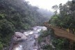 Parque Nacional de Itatiaia, maquete eletrônica do Complexo Maromba (canopy parte baixa / estrutura metálica), Rio de Janeiro Brasil / Minas Gerais Brasil, 2017. Arquitetos Pedro Paes Lira, Manoela Machado, Camila Sanches, Giulia Corsi / Natureza Urbana