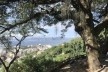 Vistas das zonas Sul e Norte a partir das ruas Aprazível e Almirante Alexandrino
