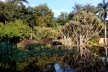 Jardins da Fazenda Vargem Grande. Paisagistas Roberto Burle Marx, Haruyoshi Ono e José Tabacow