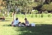 Familia na Grama, Parque do Flamengo, Rio de Janeiro: som do vento.