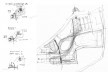 Aflalo & Gasperini Arquitetos, Parque da Juventude. Croquis
