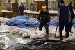 Mercado de peixe Tsukiji, alinhando os atuns do leilão, Tóquio