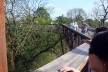 Kew Gardens, Xstrata Walkway Treetop, Londres