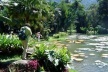 Fig. 11: Vista do Lago Frei Leandro no Jardim Botânico