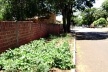 Cultivo de hortaliças em uma calçada de Munhoz de Mello/PR