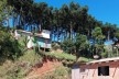 Curitiba, autoconstrução