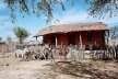 Quixadá, Ceará. Casa de pau-a-pique