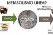 Modelo de metabolismo linear das cidades