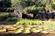 Jardins da Fazenda Vargem Grande. Paisagistas Roberto Burle Marx, Haruyoshi Ono e José Tabacow