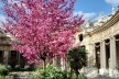 Jardim interno do Petit Palais, fevereiro 2014