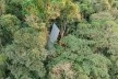 Monkey House, Paraty RJ Brasil, 2020. Arquiteto Marko Brajovic / Atelier Marko Brajovic