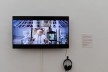 Pavilhão do Brasil, exposição Terra, curadoria de Gabriela de Matos e Paulo Tavares, 18a Mostra Internazionale di Architettura da Biennale Architettura 2023