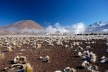 Gêiseres del Tatio