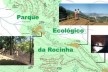 Parque Ecológico da Rocinha – perspectivas de decks mirantes e ponte pênsil