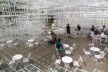 Pavilhão Serpentine. Sou Fujimoto, 2013