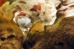 Gruta replicada de Lascaux II