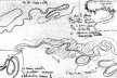 Croquis aéreo do curso dos rios no pampa argentino, de Le Corbusier, que originaria sua jocosa “Lei do meandro”