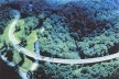 Os pilares dessa estrutura de concreto “desaparecem” visualmente abaixo do nível da vegetação; e a pista parece flutuar no plano verde da superfície das copas das árvores. Parece que os projetistas da estrada quiseram, além da minimização do impacto dessa