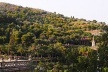 Fig. 18 - Vegetação atual do Park Güell. Notar a diferença de densidade vegetal entre o parque e a zona externa, na parte mais alta da encosta