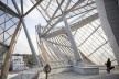 Fondation Louis Vuitton, Frank Gehry