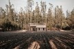 Vivienda T, Tarija, Bolivia, 2020. Arquitecto Mechthild Kaiser; colaborador Mauricio Méndez / Estudio de arquitectura y Planificación Kaiser