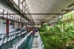 Hospital Sarah Salvador, Salvador BA, 1991. Arquiteto João Filgueiras Lima, Lelé