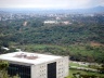 Mata do Campus da Universidade Federal de Minas Gerais, Belo Horizonte. Bem tombado em nível municipal