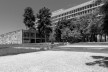 Faculdade de Arquitetura e Urbanismo e Reitoria da Universidade Federal do Rio de Janeiro – UFRJ, Edifício Jorge Machado Moreira