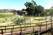 Parque Municipal Nair Bello, imagem da passarela e conjunto da fase 01, São Paulo SP Brasil, 2020. Secretaria Municipal do Verde e do Meio Ambiente