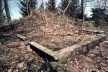 Partially Buried Woodshed. Robert Smithson. Kent State University, Kent, Ohio, jan. 1970