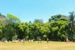 Parque Augusta, São Paulo SP, 2021