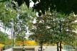Readequação do Parque Municipal Raul Seixas, São Paulo SP Brasil, 2019. Secretaria do Verde e Meio Ambiente – Departamento de Implantação, Projetos e Obras/ Secretaria Municipal da Pessoa com Deficiência