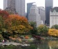Central Park, Nova York