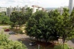 Super Quadra Norte 309. O verde e os prédios residenciais convivem (o verde é praça a ser substituída por bloco residencial)