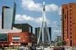 Ponte Erasmus em Kop von Zuid, Porto de Roterdã. Arquiteto Van Berkel, projeto urbano de Riek Bakker