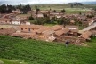 Chinchero, cultivo de batatas