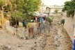 Delmas, Haiti, 2012. Arena de “briga de galo”. A atividade é fruto de entretenimento no país