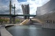 Museu Guggenheim de Bilbao, Frank Gehry