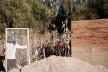 Vivienda T, Tarija, Bolivia, 2020. Arquitecto Mechthild Kaiser; colaborador Mauricio Méndez / Estudio de arquitectura y Planificación Kaiser