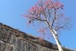 Foto de Barra do Pirahy