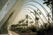 Cidade das Artes e das Ciências, Valência. Santiago Calatrava