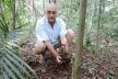A Serapilheira. Um colchão de restos vegetais no chão das florestas e bosques florestados. Enriquece e torna o solo mais fofo e permeável. Ela própria absorve grande parte das águas de chuva