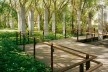 Parque da Juventude, São Paulo, 2003-2005. Paisagismo de Rosa Kliass
