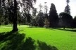 Royal Botanic Garden, Sidney