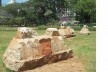 Parque Augusta, São Paulo SP, 2021