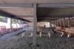 Parque Augusta, construção da administração, São Paulo SP, 2021