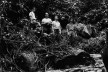Severo Gomes, Rino Levi, Burle Marx e Procópio Ferreira de Camargo, excursão a Serra de Parati MG, 1952