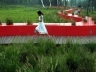 Red Ribbon Park, Kongjian Yu