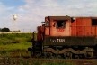 Locomotiva em funcionamento em área central, Araraquara