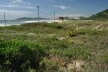 Praia do Siriú, Garopaba SC